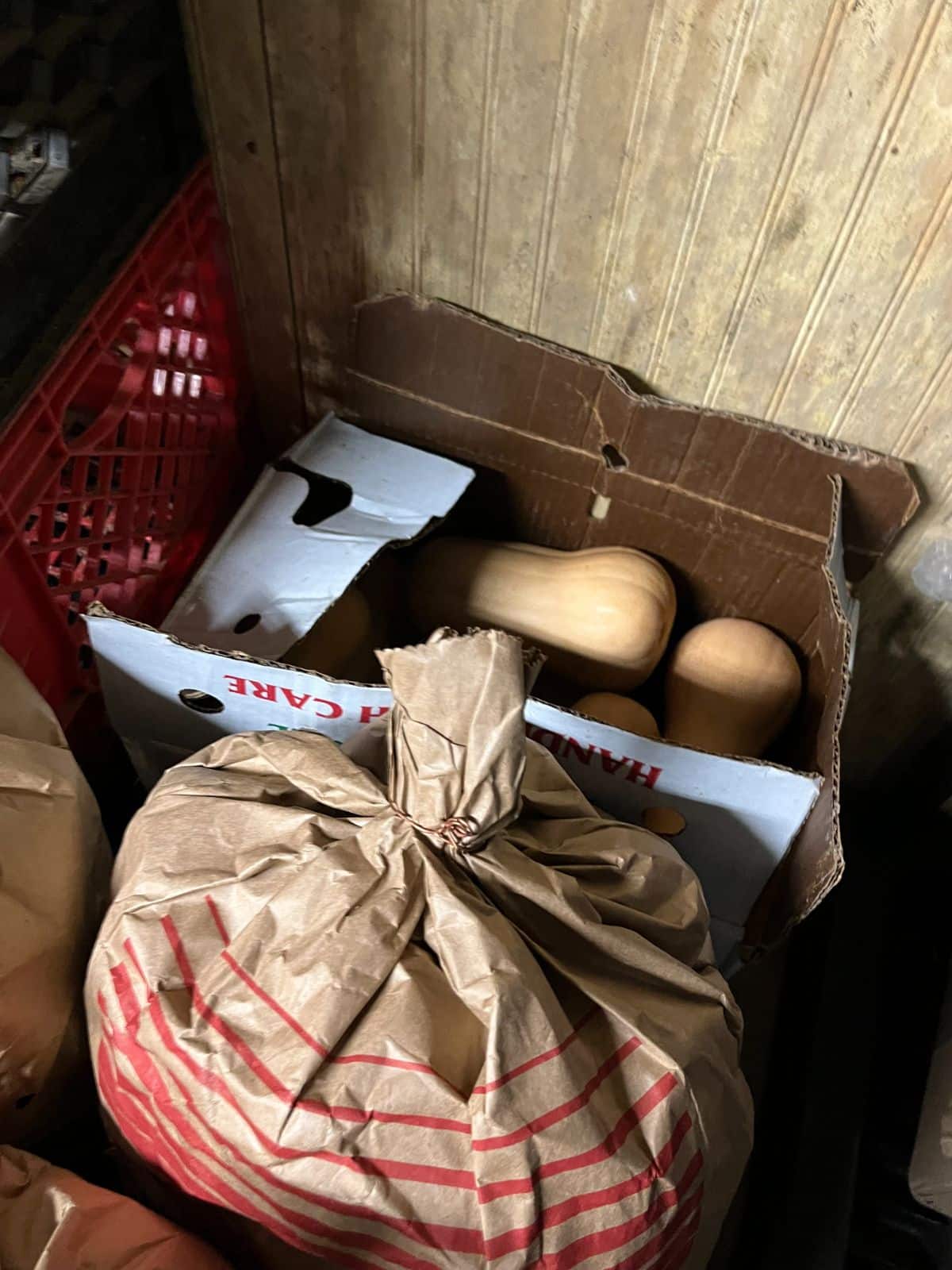 A box of butternut squash stored in a cold room