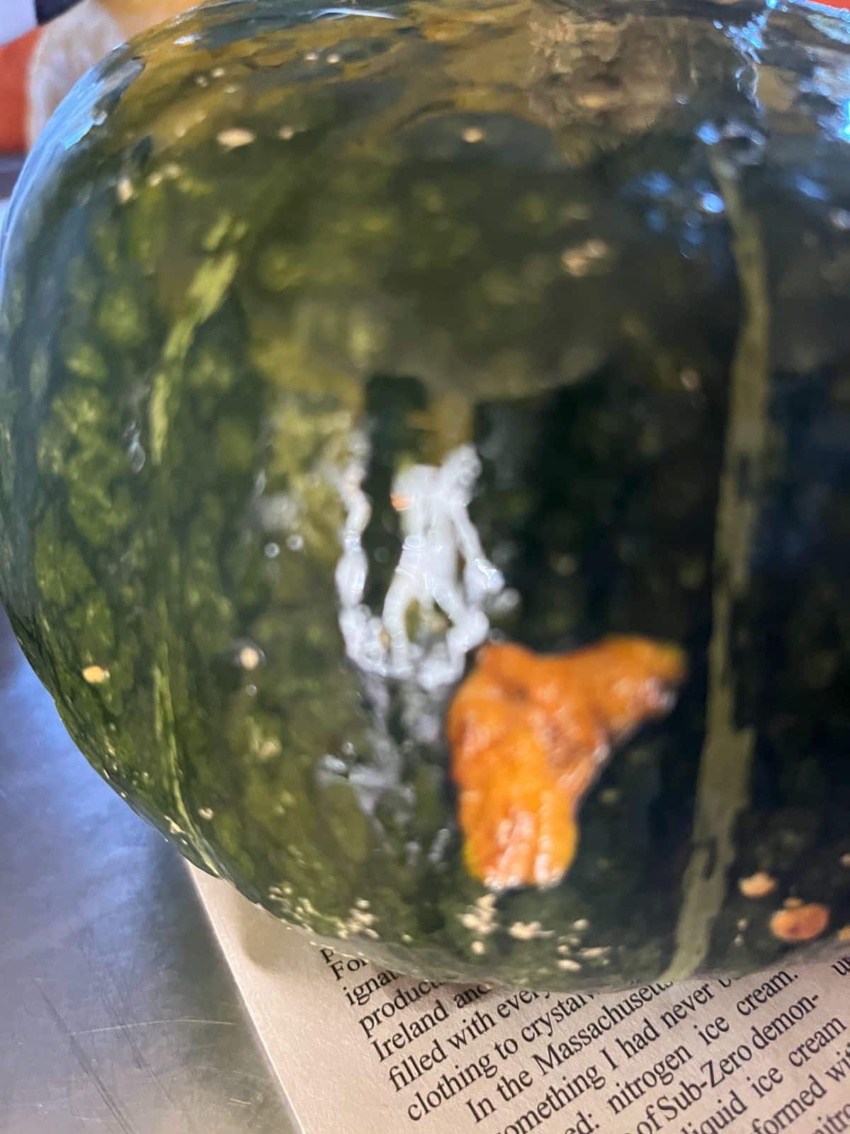 A Kobocha squash with a knick in it