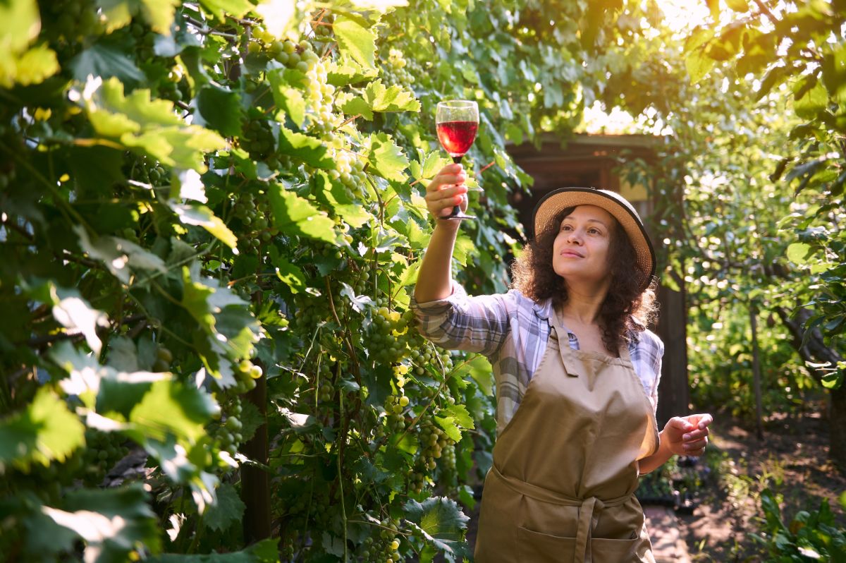 A woman holding up a glass of wine in her vineyard