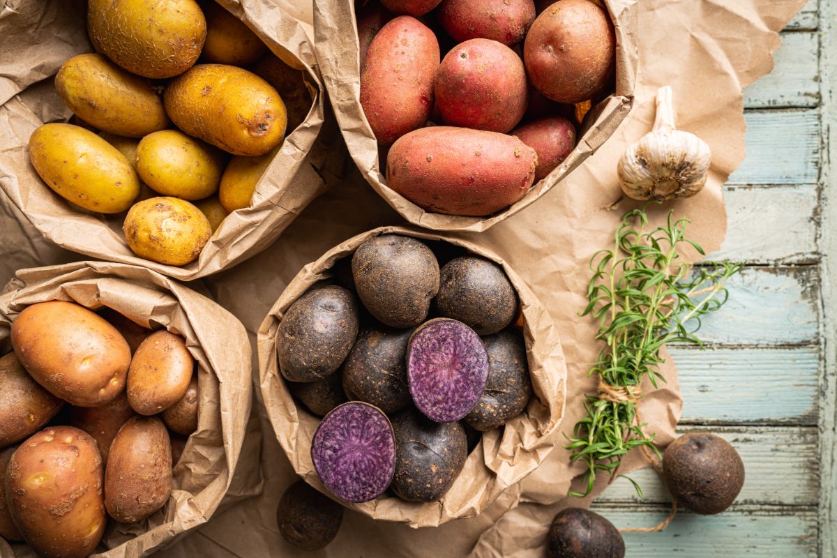 Different varieties of potatoes in bags