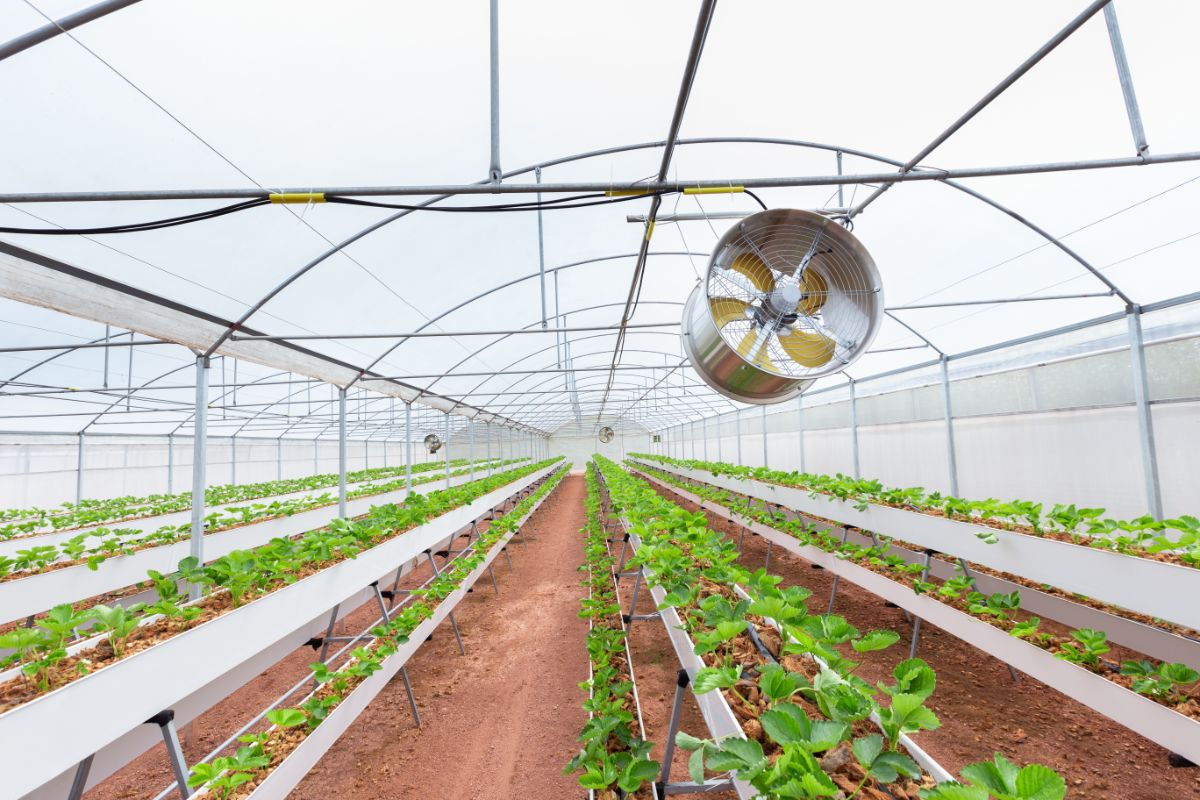 A greenhouse setup with a ventilation fan installed