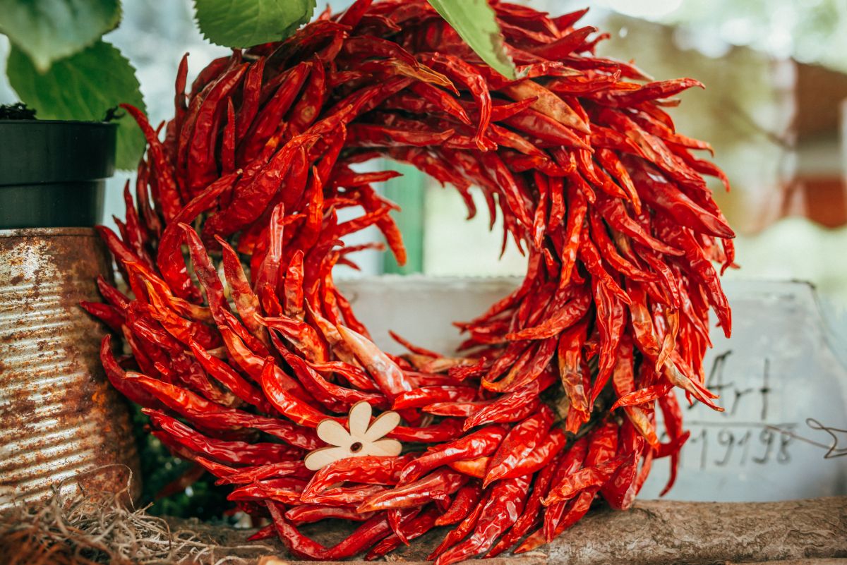 A wreath made from dried red chili peppers