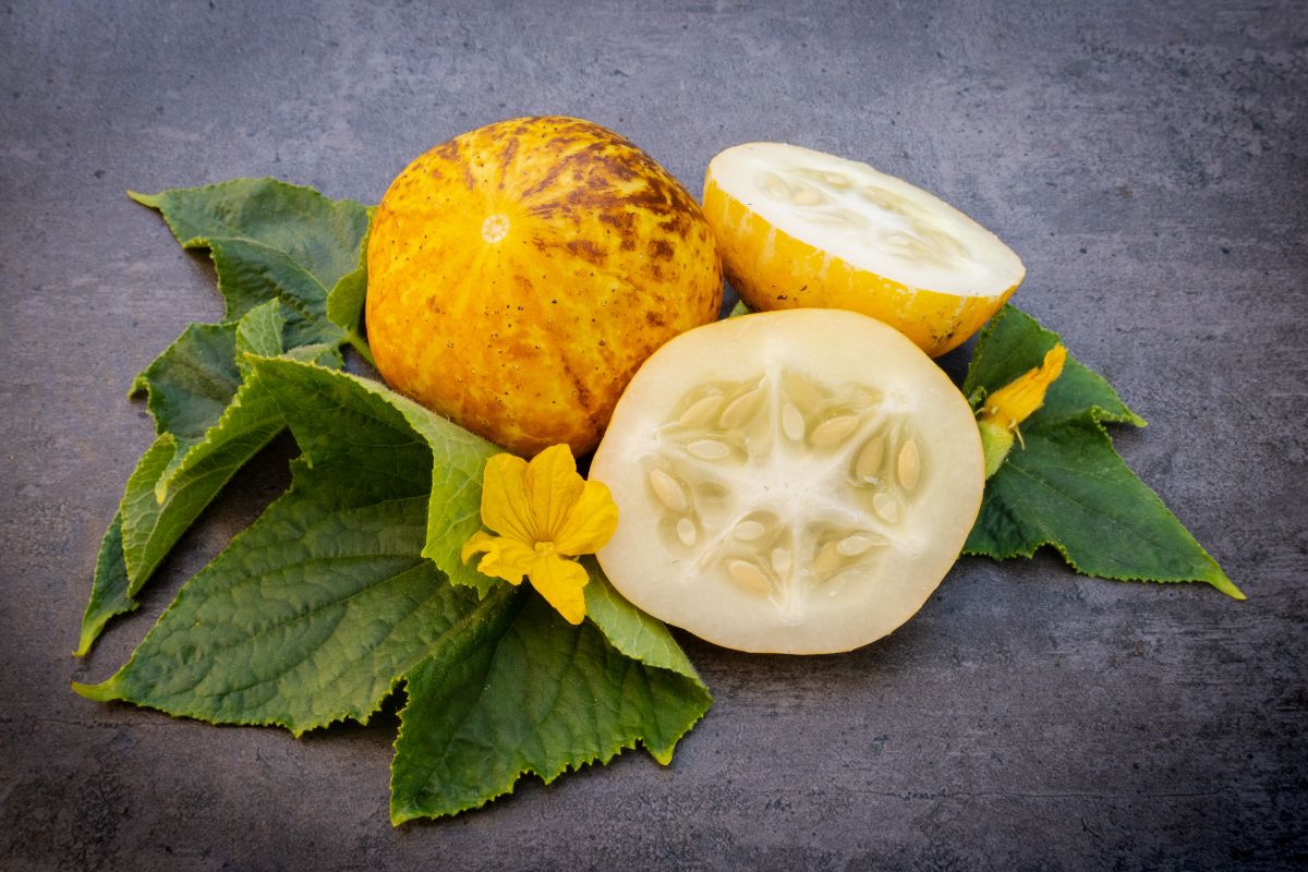 Yellow round lemon cucumbers