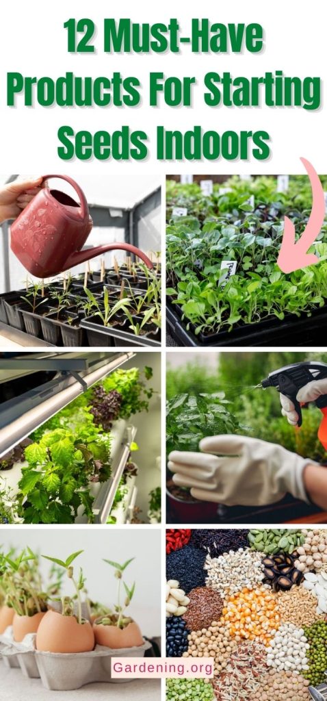 12 Must-Have Products For Starting Seeds Indoors pinterest image.