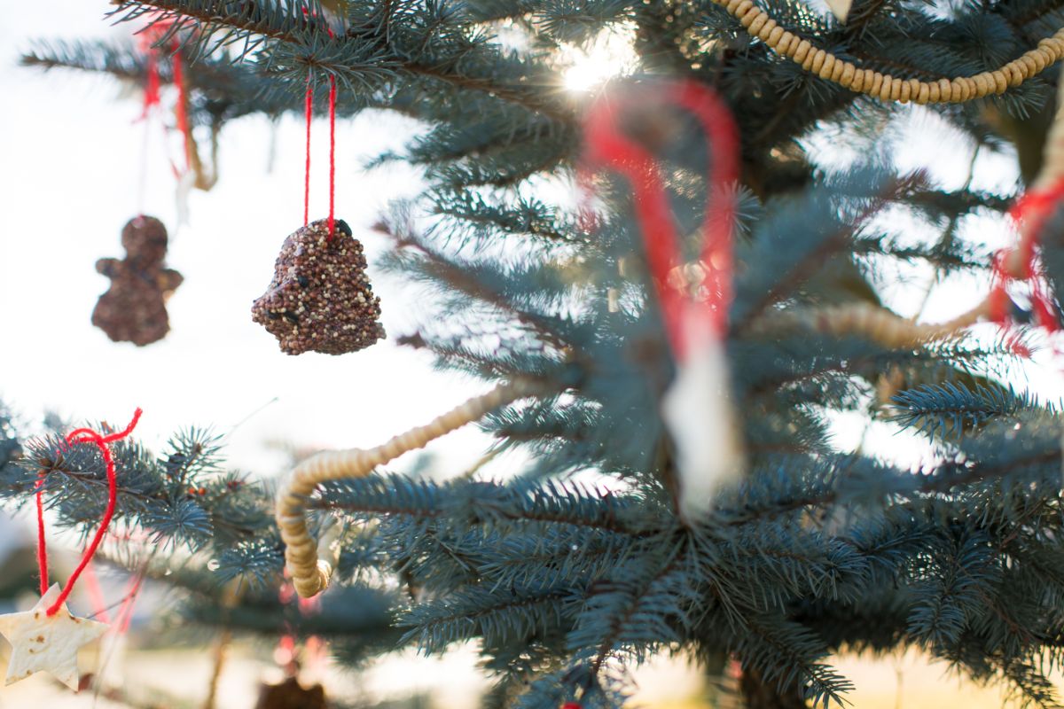 Strings and molded DIY bird seed feeder ornaments