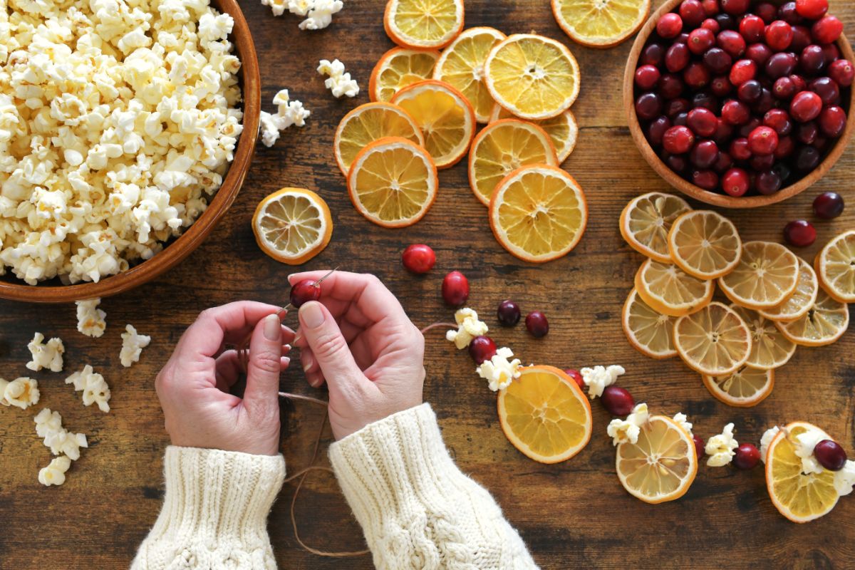 A fruit, berry, and popcorn garland for the birds.