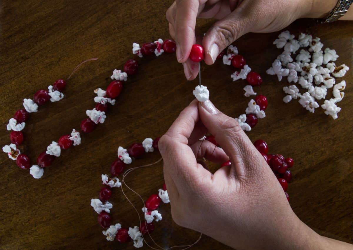 A bird garland made from popcorn and cranberries