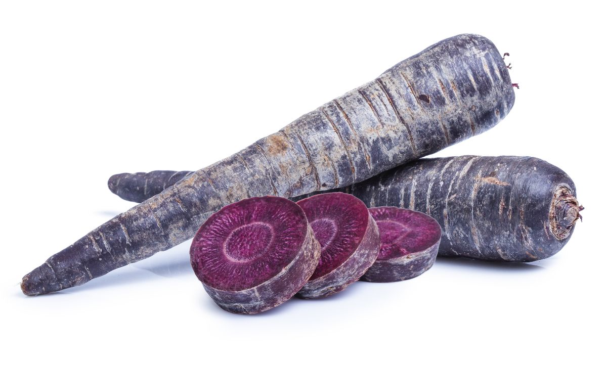 Deep Purple carrot variety