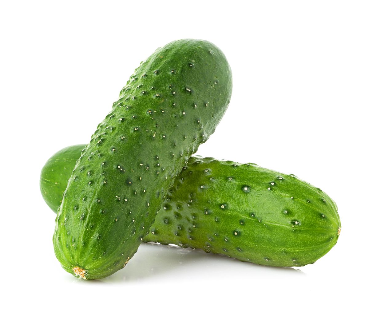 Max Pack cucumber variety
