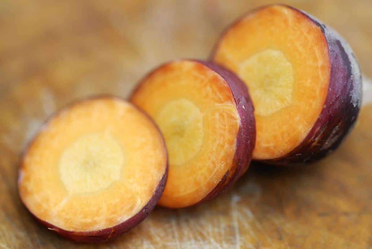 Purple Dragon carrot variety