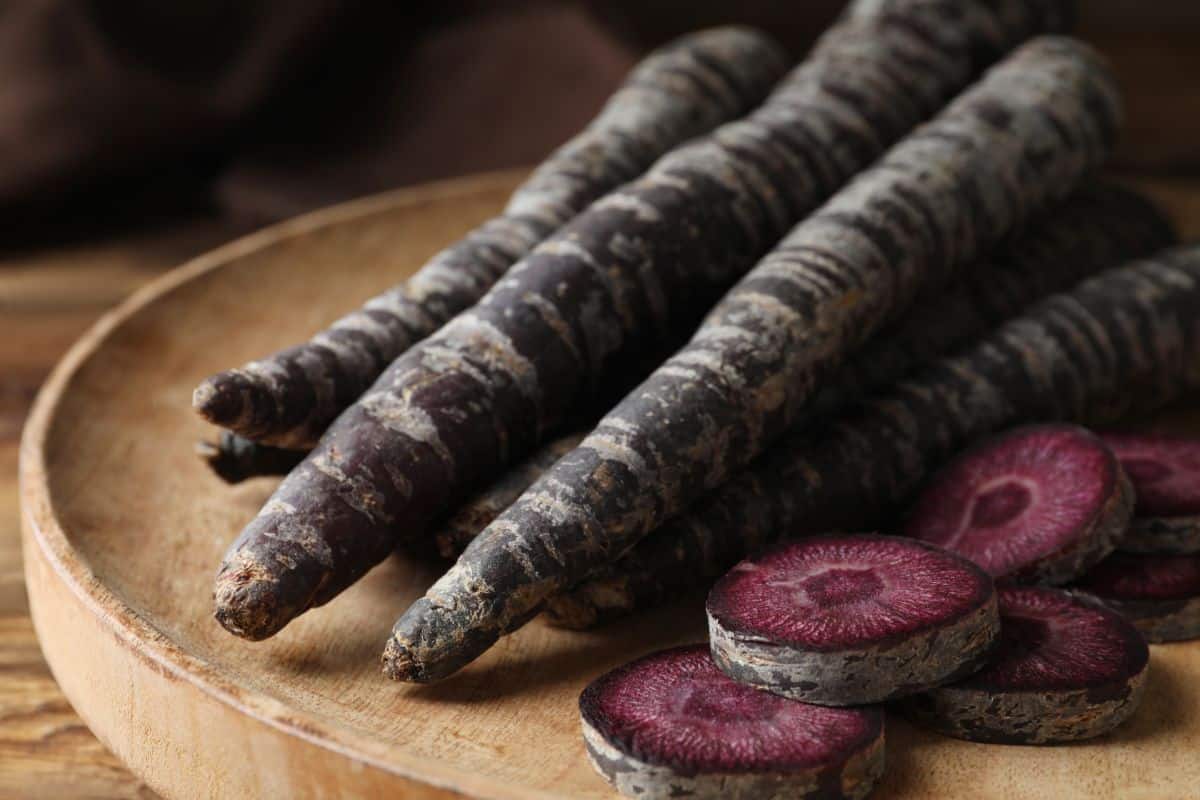 Pusa Asista black carrot variety