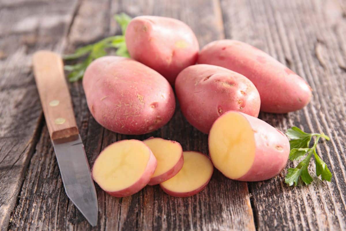 pinkish-red Strawberry Paw potato variety