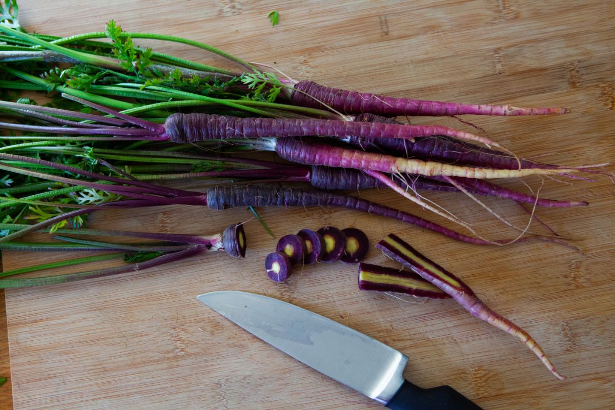 Black nebula carrots