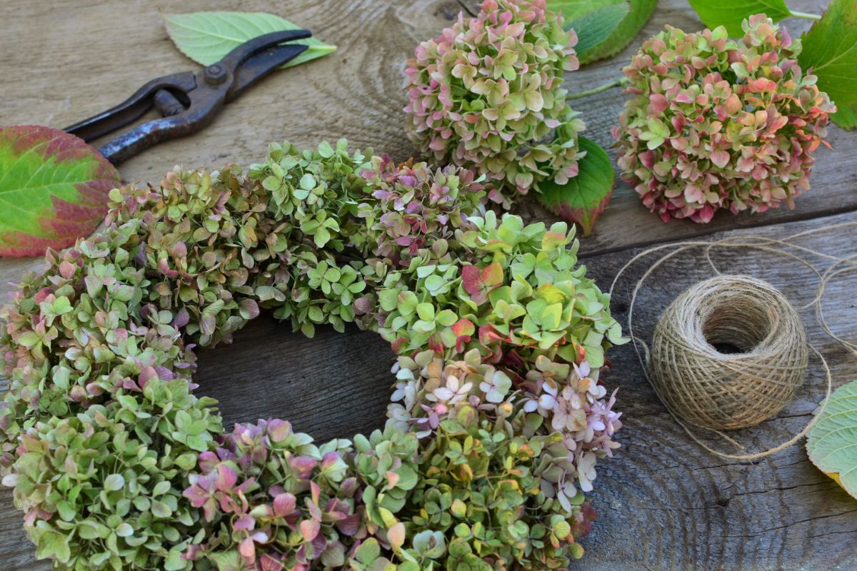 A handmade hydrangea wreath
