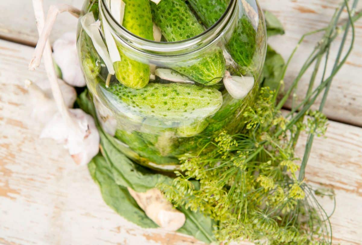 A jar of pickled Cross Country cucumbers