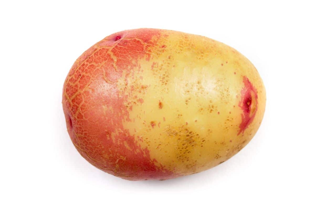Two-toned red and white skinned potato, Masquerade