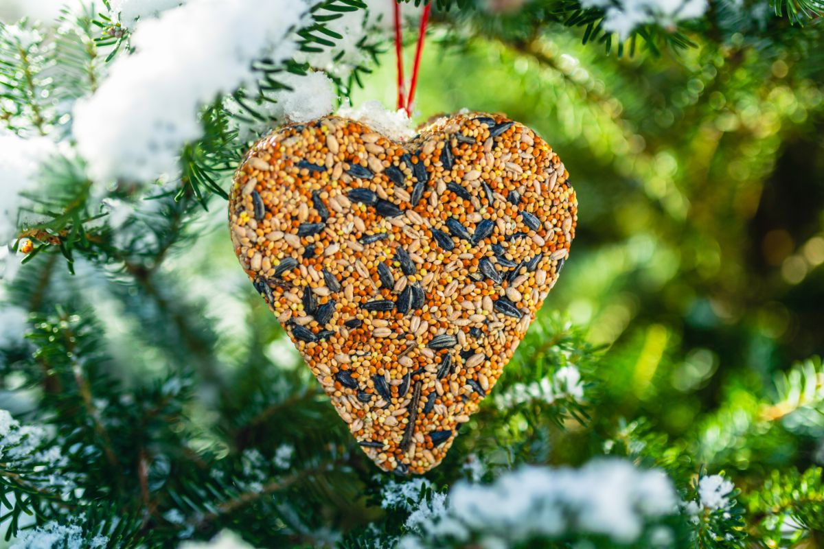 A nice heart-shaped hanging bird feeder.