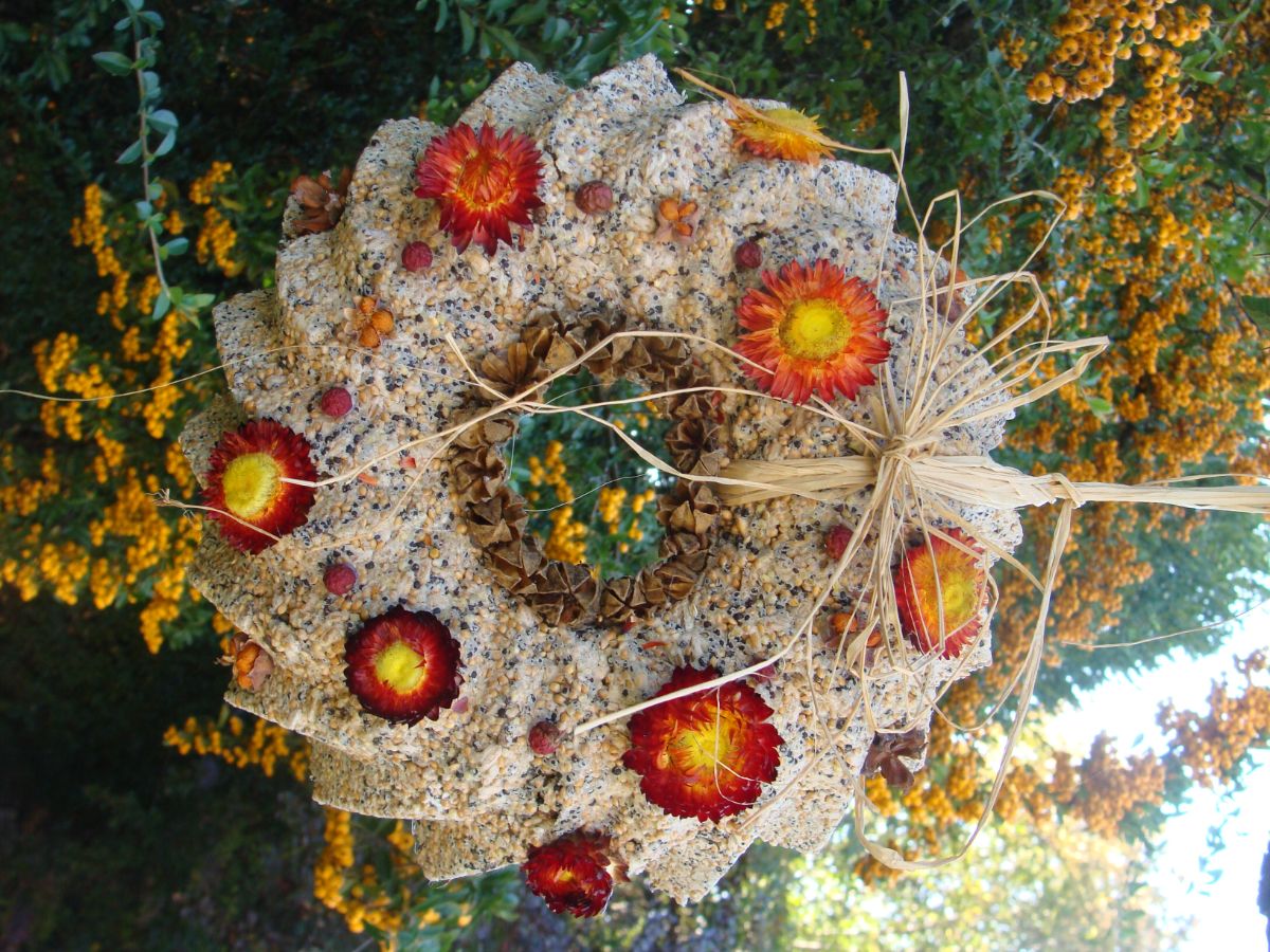 A stunning homemade suet and seed bird feeder wreath with dried flowers set into it