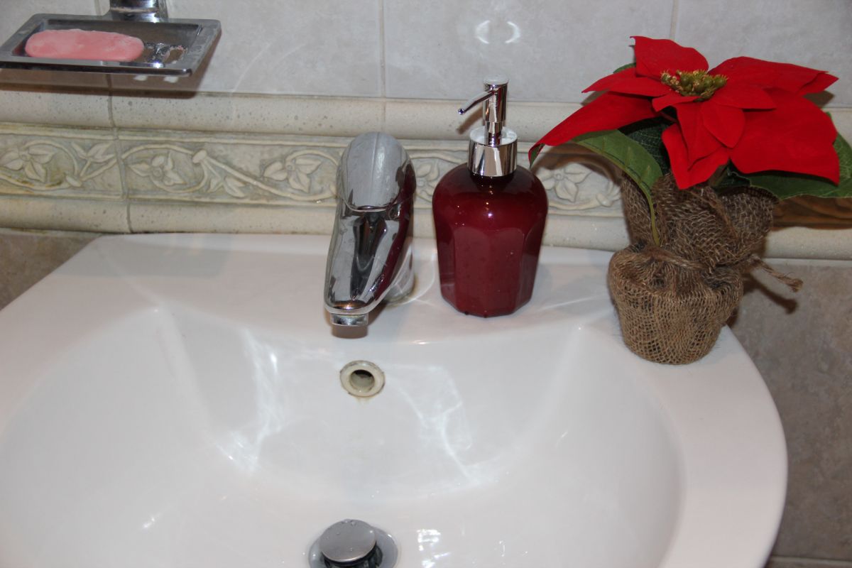 A poinsettia plant on the side of a sink waiting to be watered.