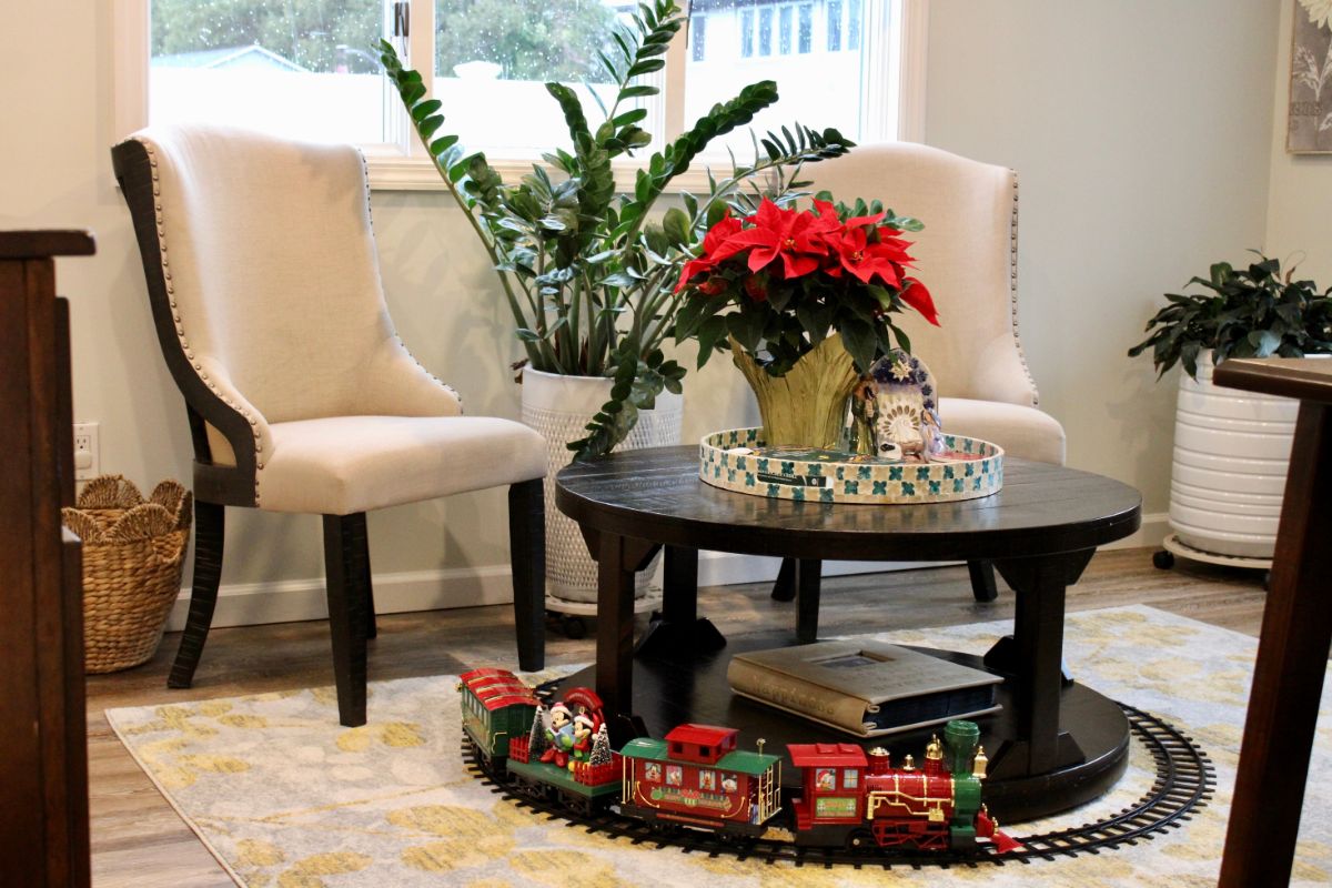 A poinsettia in a comfortable, warm living room.