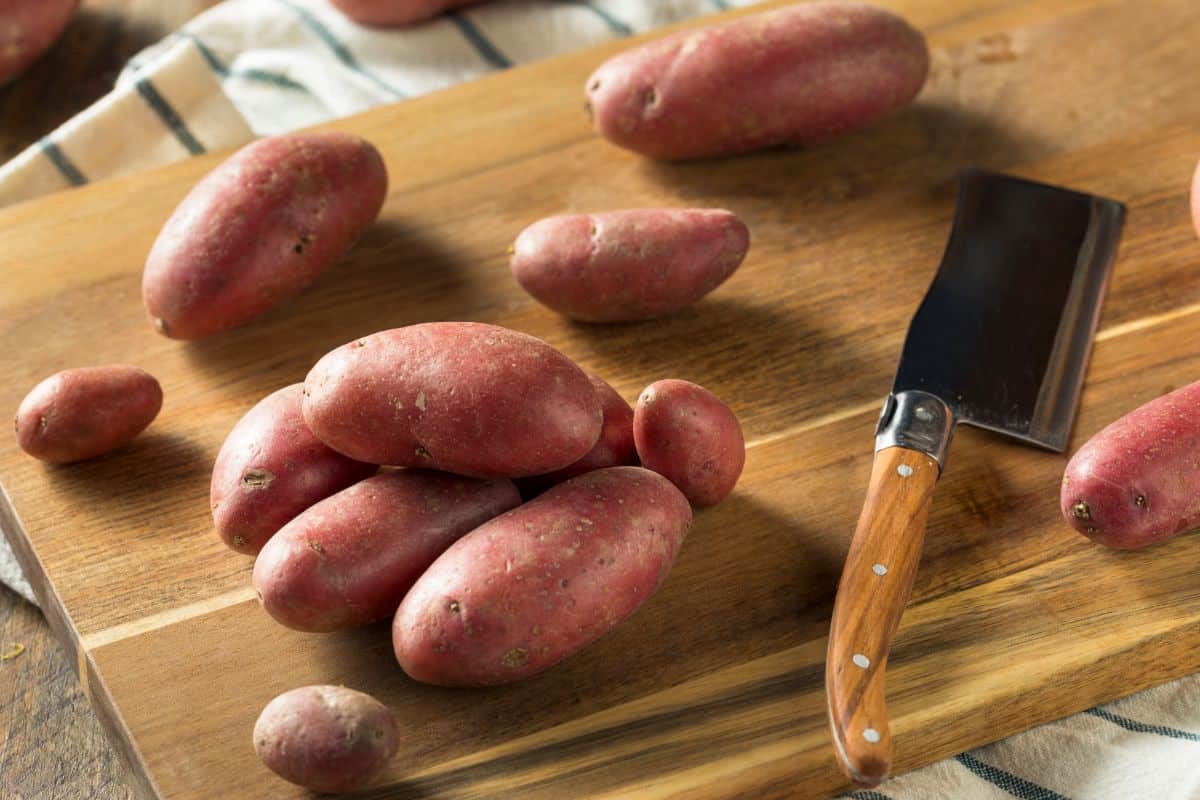 Red French fingerling potatoes