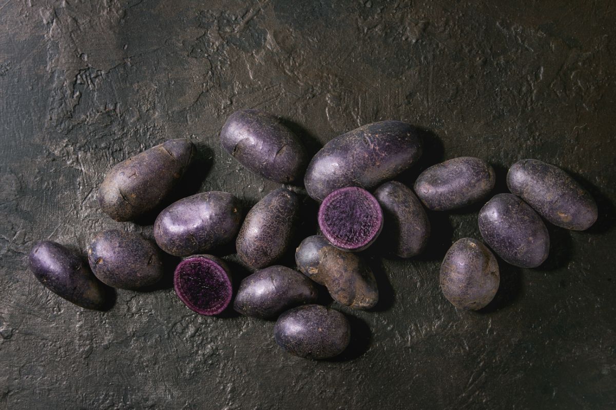 Purple skinned and purple fleshed Magic Molly potato