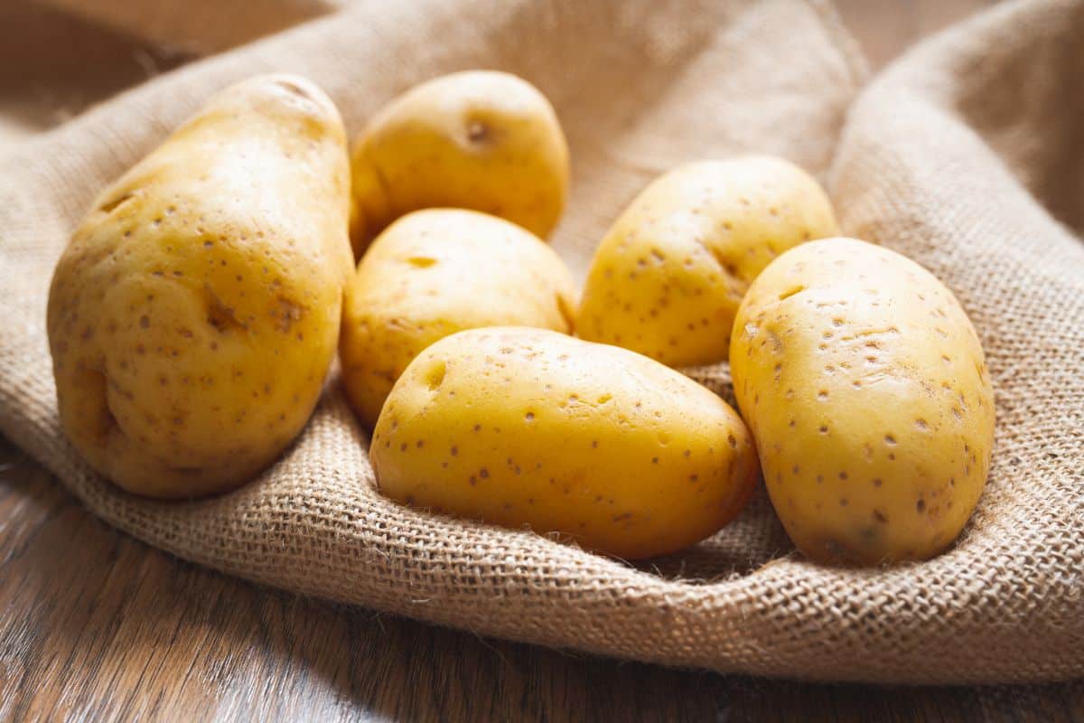 Yellow Yukon gold potatoes