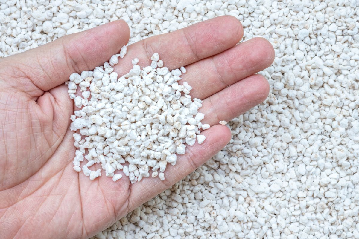 A person holding a handful of perlite ready to mix into seedling mix