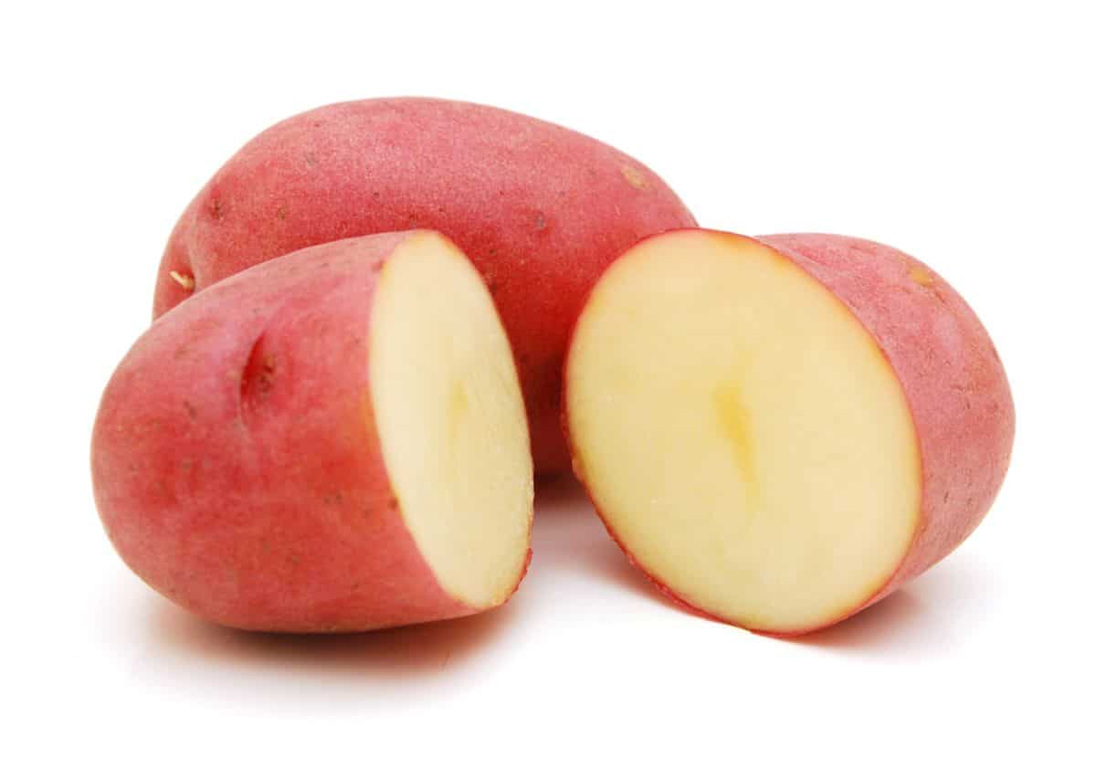 Red skinned white fleshed Chieftain potato
