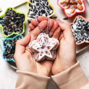 Girl holding a star shaped homemade little birdseed cake made from peanut nuts and coconut fat.