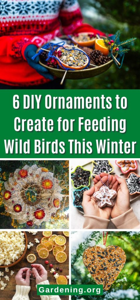 6 DIY Ornaments to Create for Feeding Wild Birds This Winter pinterest image.
