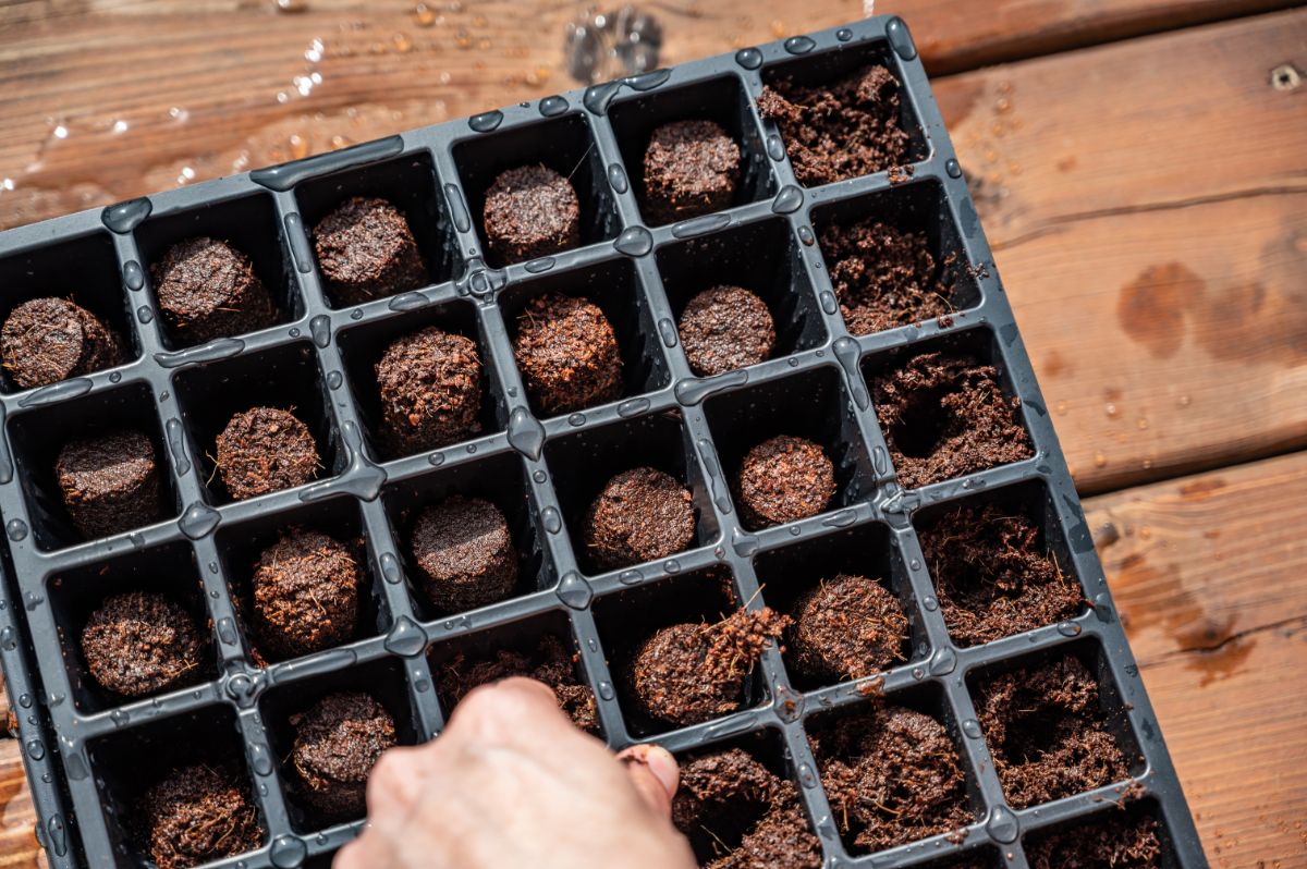 A gardener setting homemade seed starting mix in cell trays
