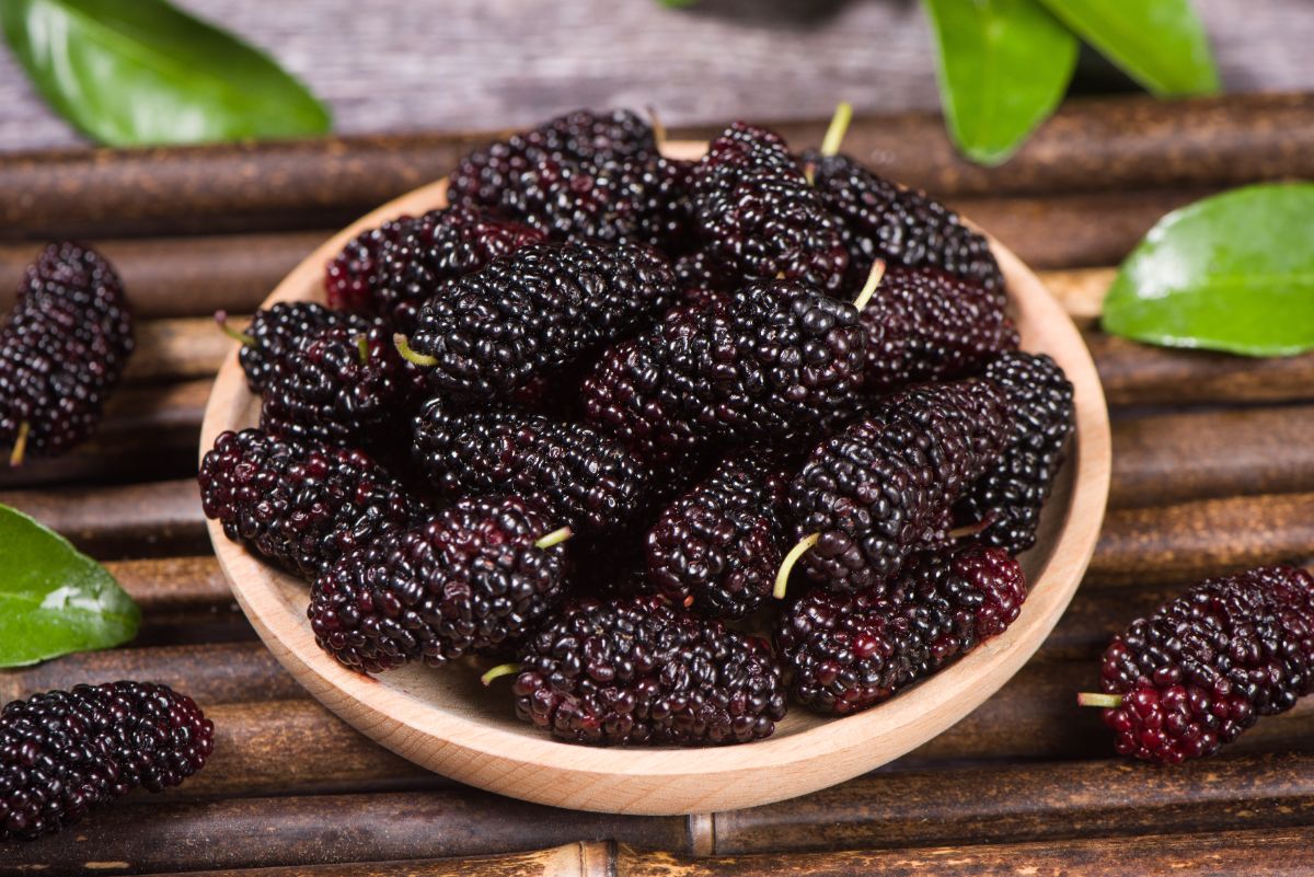 Mulberry berries in a wooden bowl
