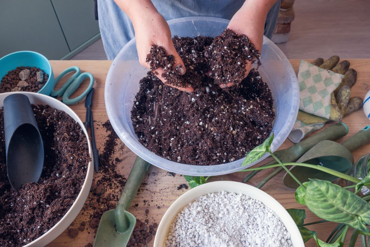 Potting soil and supplies for repotting plants