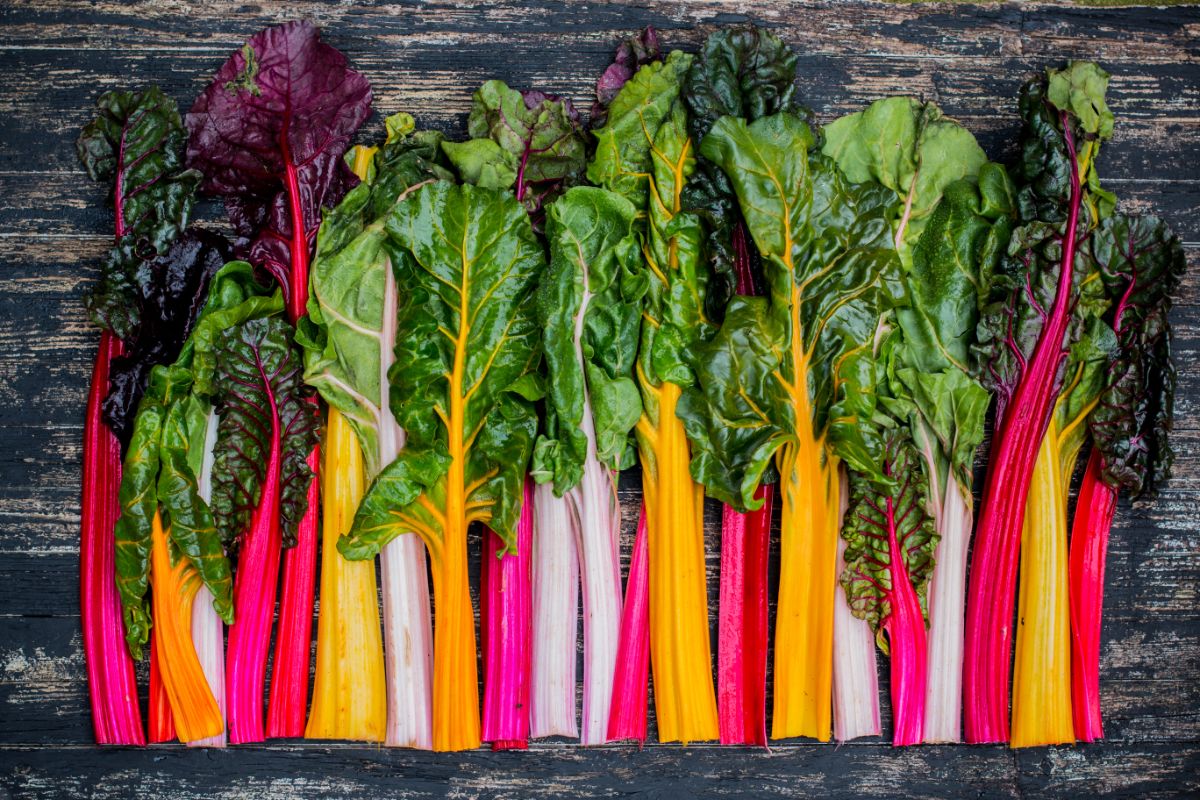 Colorful Swiss chard stems lined up on a table