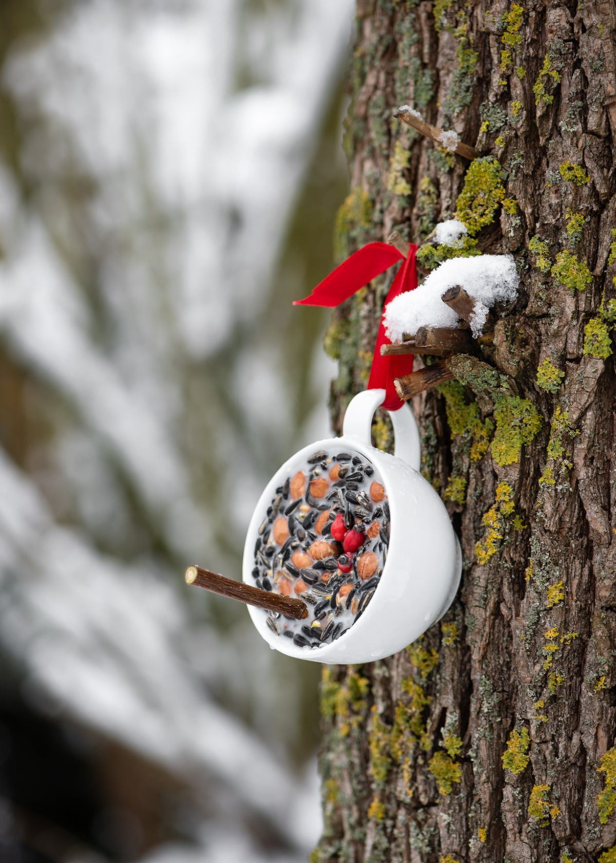 A suet feeder made from an old tea cup