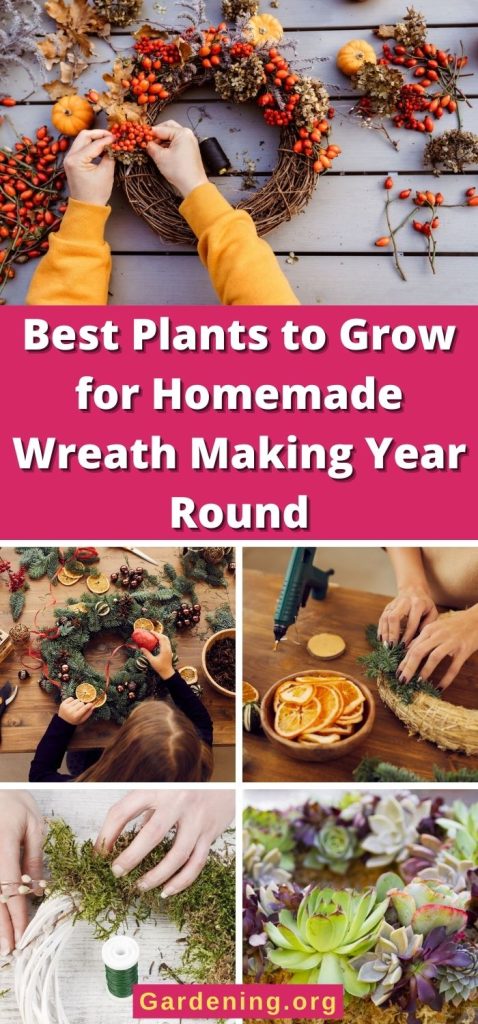 Best Plants to Grow for Homemade Wreathmaking Year Round pinterest image.