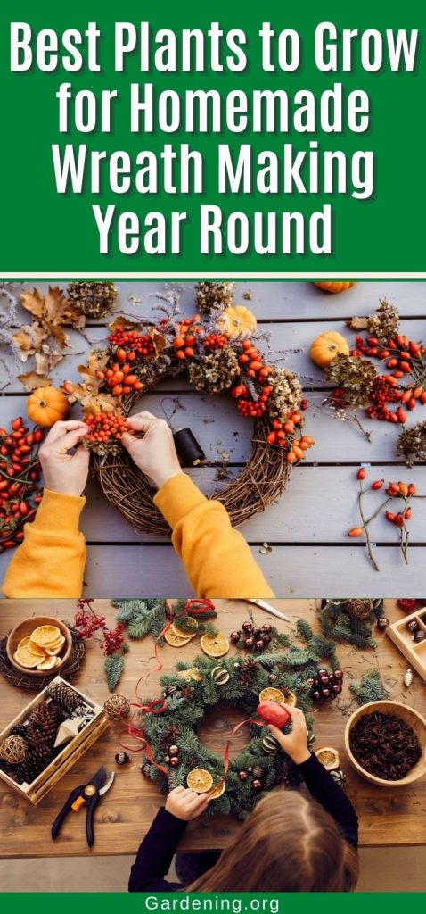 Best Plants to Grow for Homemade Wreathmaking Year Round pinterest image.