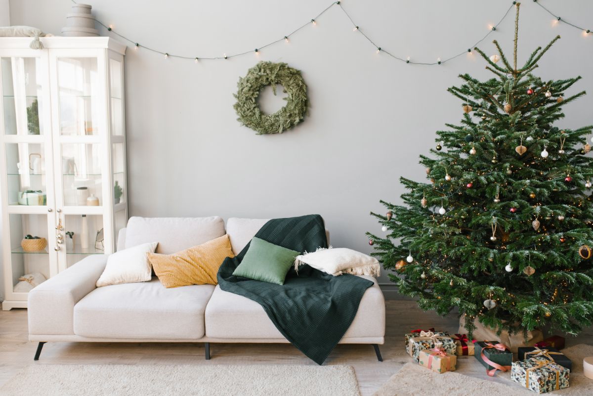 A lovely healthy Christmas tree in a living room