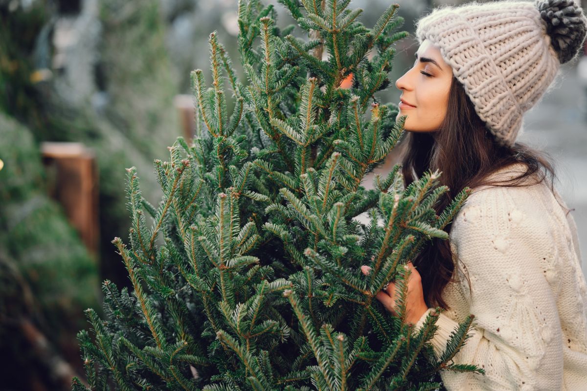 A woman sniffing a Christmas tree to see if it is fresh