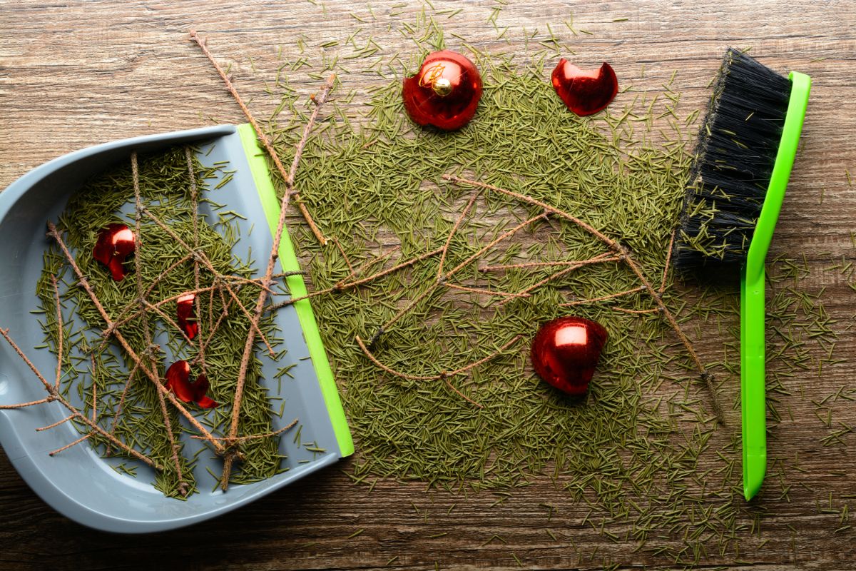 A dustpan sweeping up lots of dead Christmas tree needles