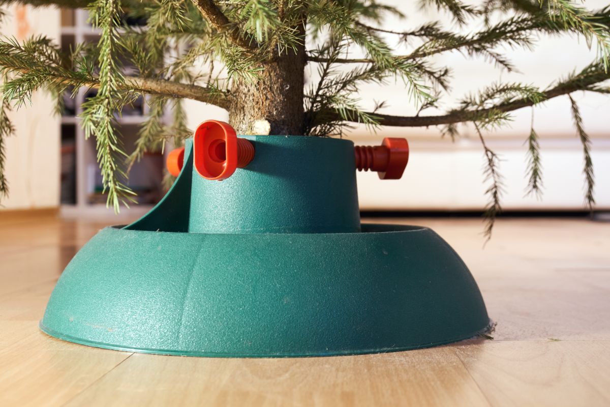 A Christmas tree set in a large-capacity tree stand