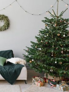 cropped-christmas-tree-buying-tips-1.jpg