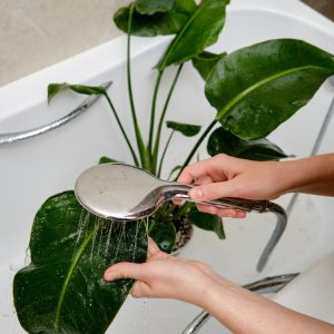 A woman washing a houseplant in a shower.