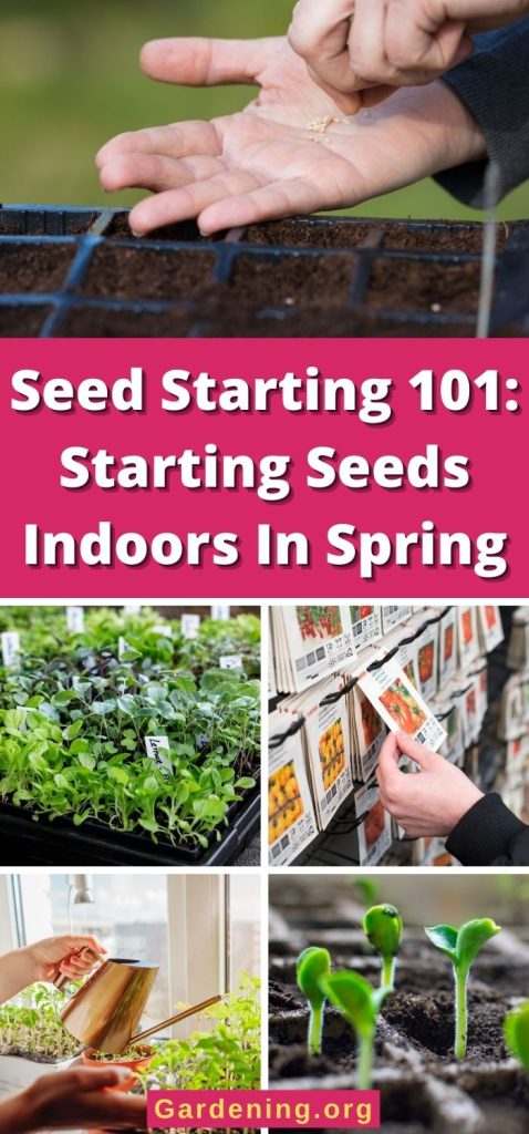 Seed Starting 101: Starting Seeds Indoors In Spring pinterest image.