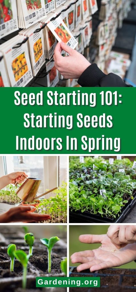 Seed Starting 101: Starting Seeds Indoors In Spring pinterest image.