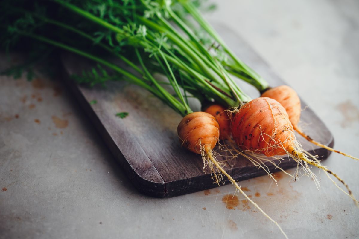 Small round orange carrots