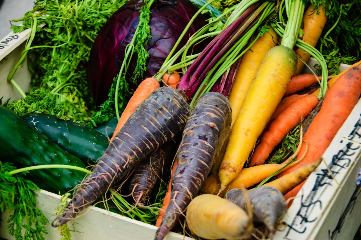 A box of colored carrots with other vegetables