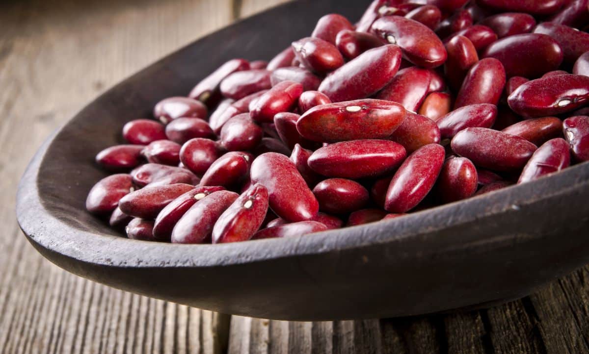Shelled red kidney beans in a bowl