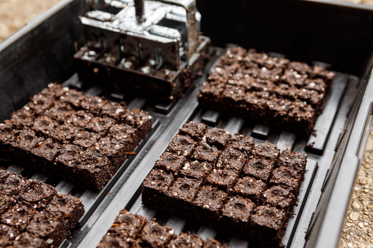 Soil blocks for seed starting made with a soil blocker tool